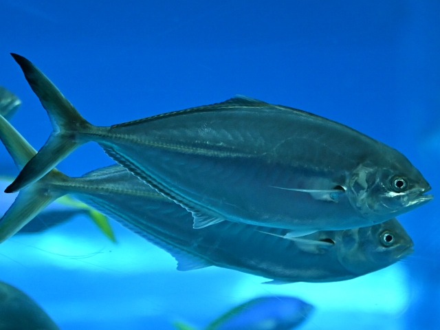 �}�u�^�V�}�A�W